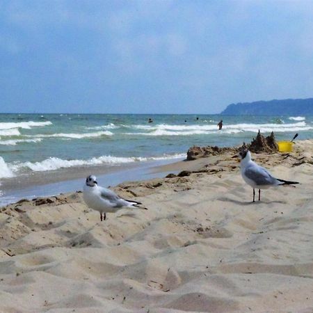 Fewo Strandperle-Fam.Kunkel Зеллин Экстерьер фото